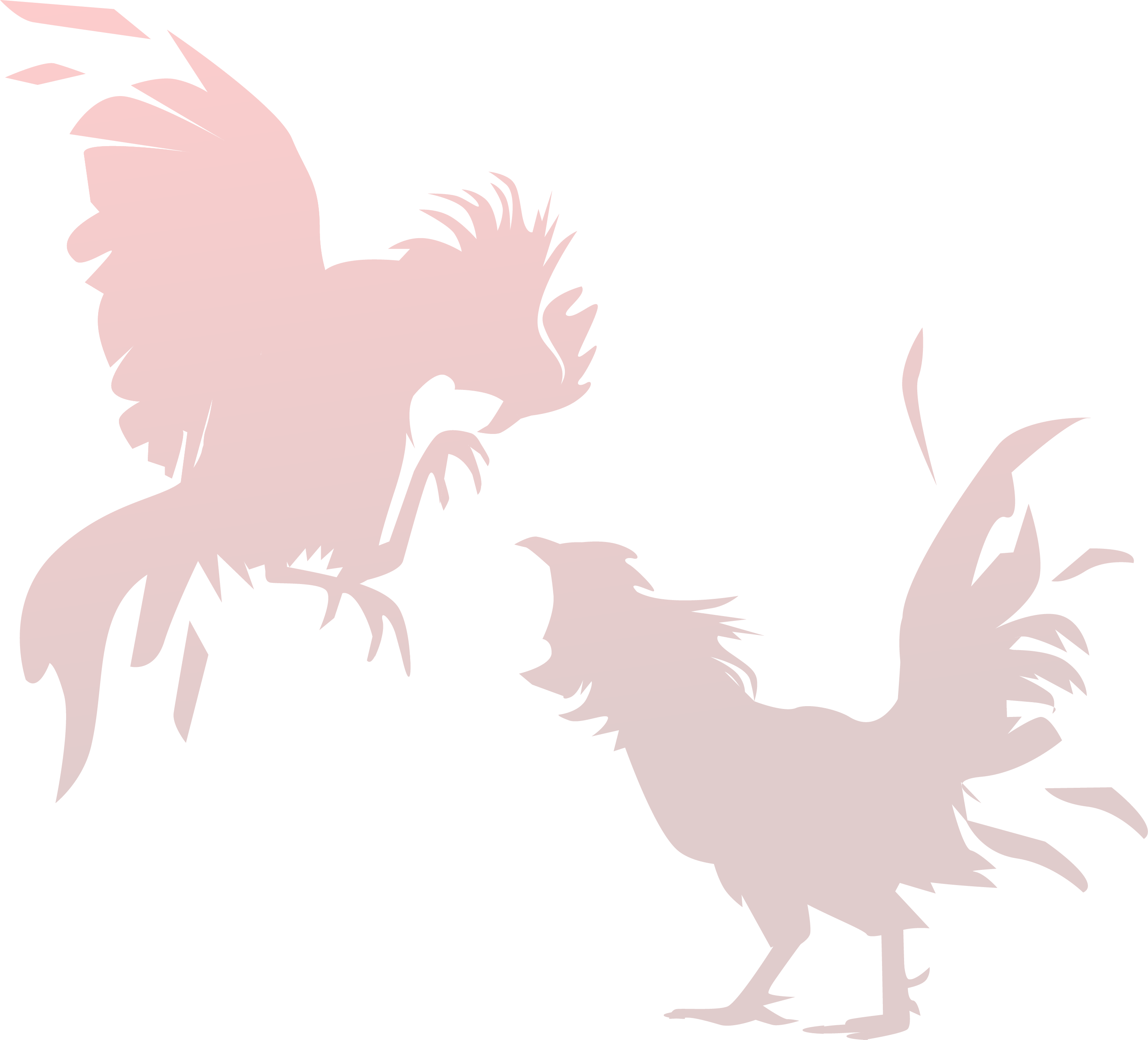 Cockfight